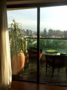 executive apartment shanghai Spacious Single Bedroom apartment for rent in Ambassy Court