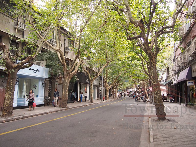 French Concession apartment Beautiful 1BR Lane House for Rent at South Shanxi Road