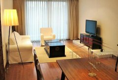 lakeville apartment rent Perfectly furnished luxury apartment in Xintiandi