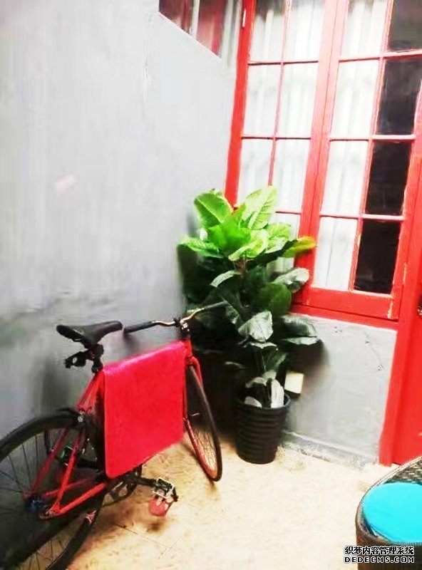  Colorful Loft Apartment w/Yard in Xintiandi