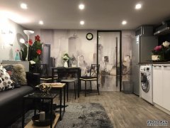  Stylish Downtown Apartment for rent