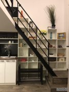  Stylish Downtown Apartment for rent
