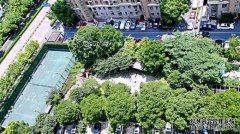  Sunny Apartment with view over Century Park