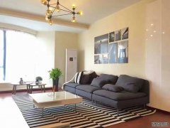  Modern apartment for rent in Pudong nr Century Park