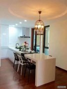  Modern apartment for rent in Pudong nr Century Park