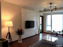  Modern apartment for rent in Pudong nr Century Park