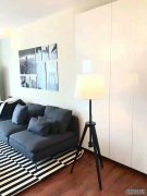  Modern apartment for rent in Pudong nr Century Park
