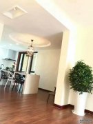  Modern apartment for rent in Pudong nr Century Park