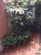  5BR House w/Garden, Heating, Parking