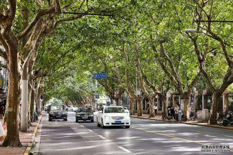  Classy 1.5BR Apartment at Hengshan Road