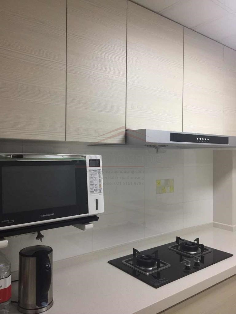 Bright 2BR Apartment for Rent near People Square