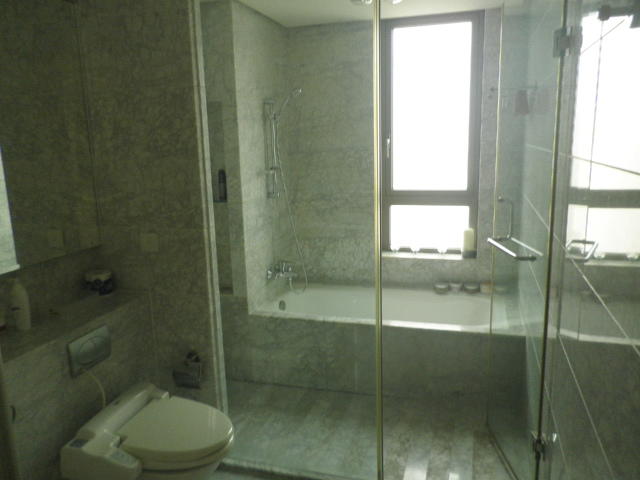 rent 3 bedrooms apt shanghai 3 bedrooms flat with great view!