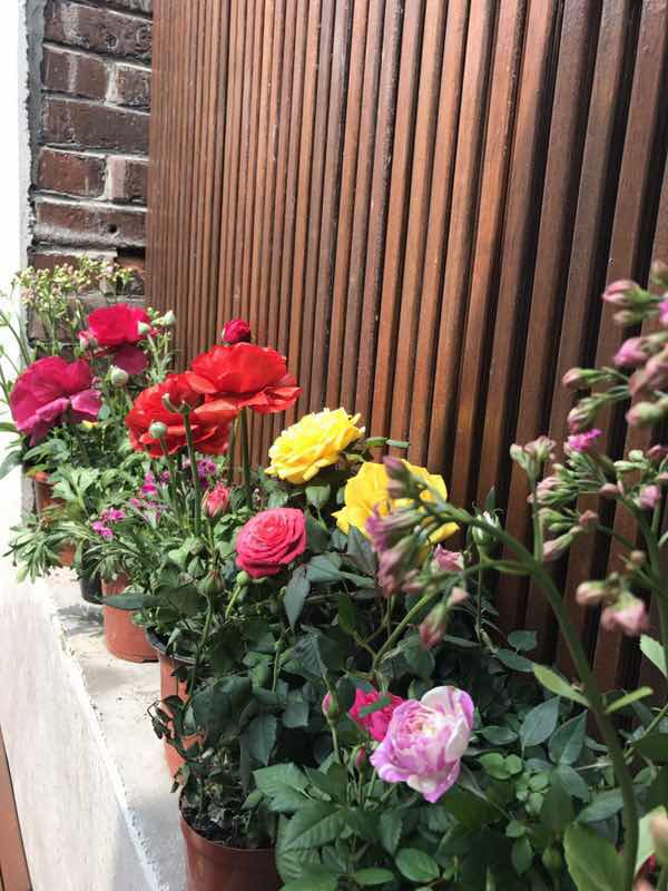  Charming 2 Bed Lane House with Terrace, Shanghai