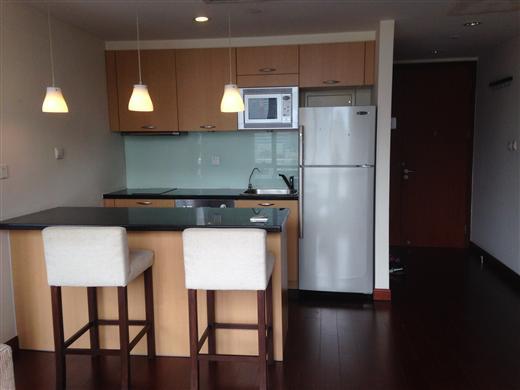 rent apartment in Suzhou shanghai Luxury One Bedroom Apartment close to Suzhou River and People