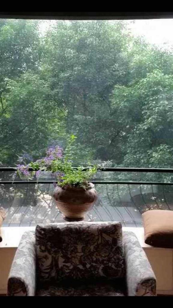 rent apartment in shanghai\ width= Luxury Apartment Surrounded by Greenery in the French Concession