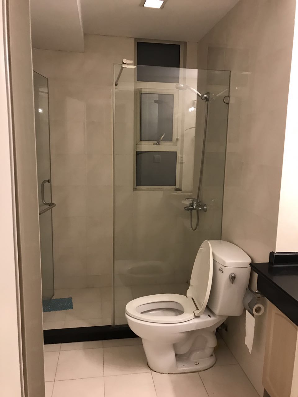 nice apartment for rent Shanghai Spacious and well maintained (176sqm) 3bedroom apartment near Nanjing W Rd in Ladoll for rent