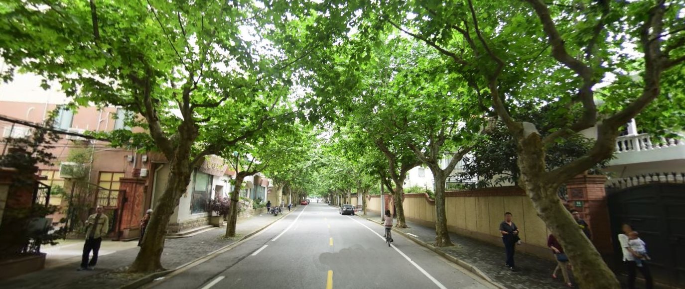 Neat 2BR Apartment in quiet French Concession street