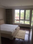  Prestigious Villa nr Eurocampus in Qingpu