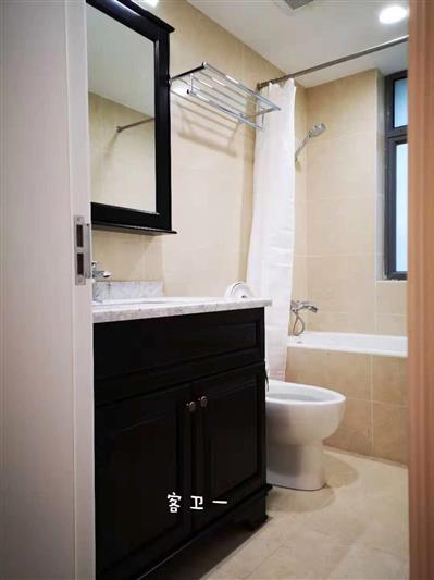 new bathroom Renovated Duplex Apartment in Luxury Summit Compound for Rent in FFC, Shanghai
