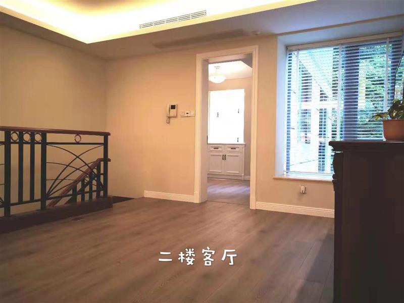 Large bright rooms Renovated Duplex Apartment in Luxury Summit Compound for Rent in FFC, Shanghai