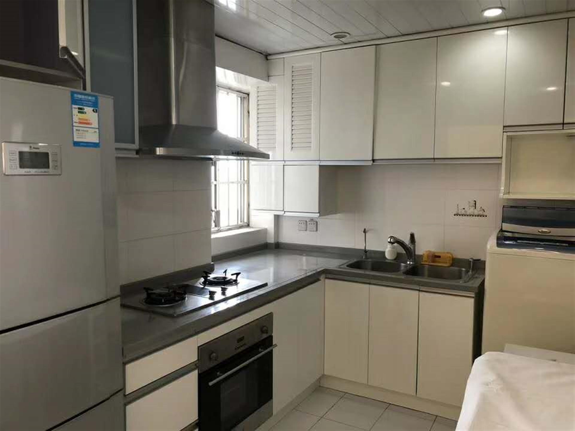 large kitchen Apartment w Great IAPM Location & View for Rent in Shanghai