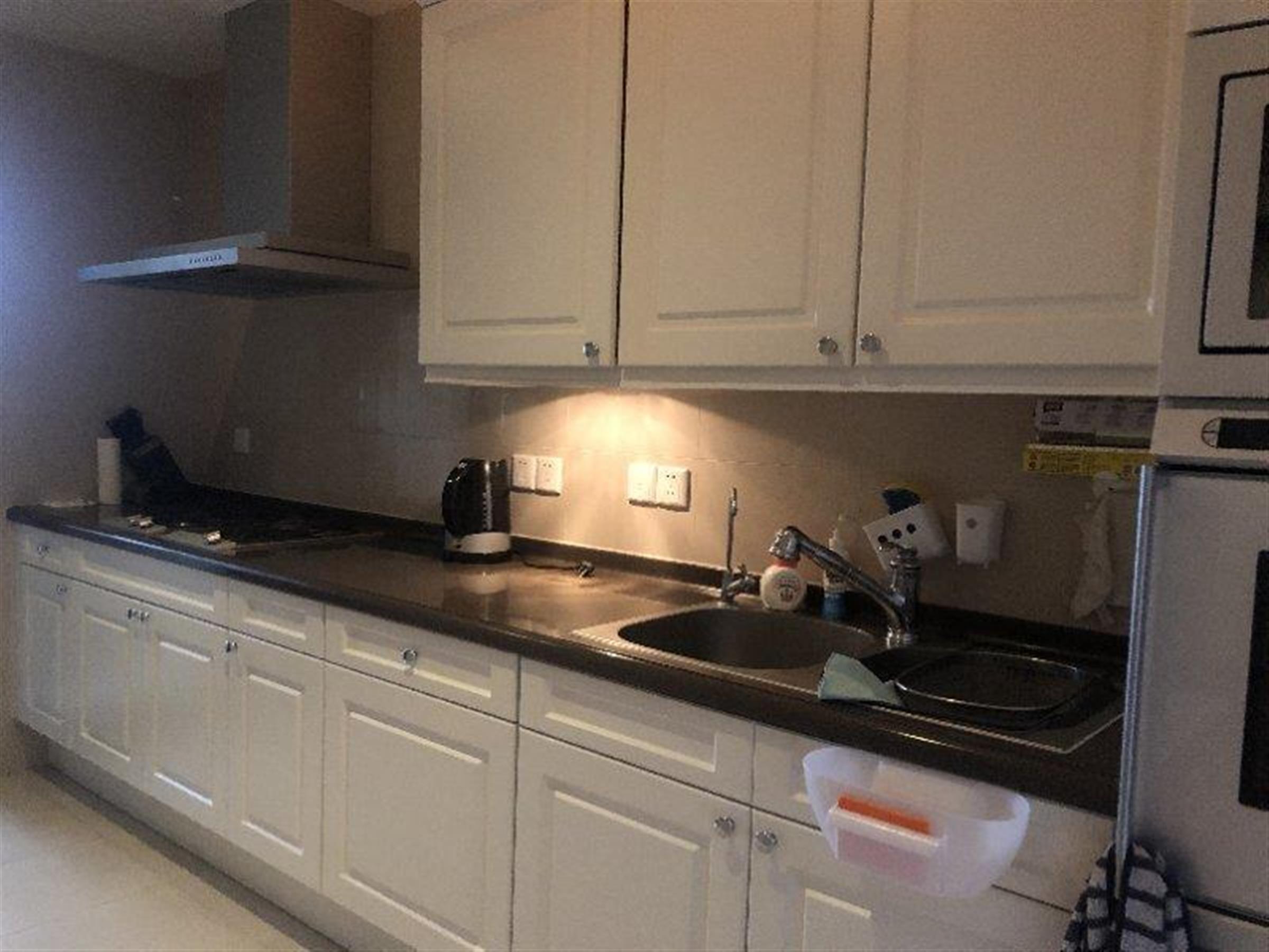 Large Kitchen Luxurious Spacious XTD Lakeville Regency Apartment for Rent in Shanghai