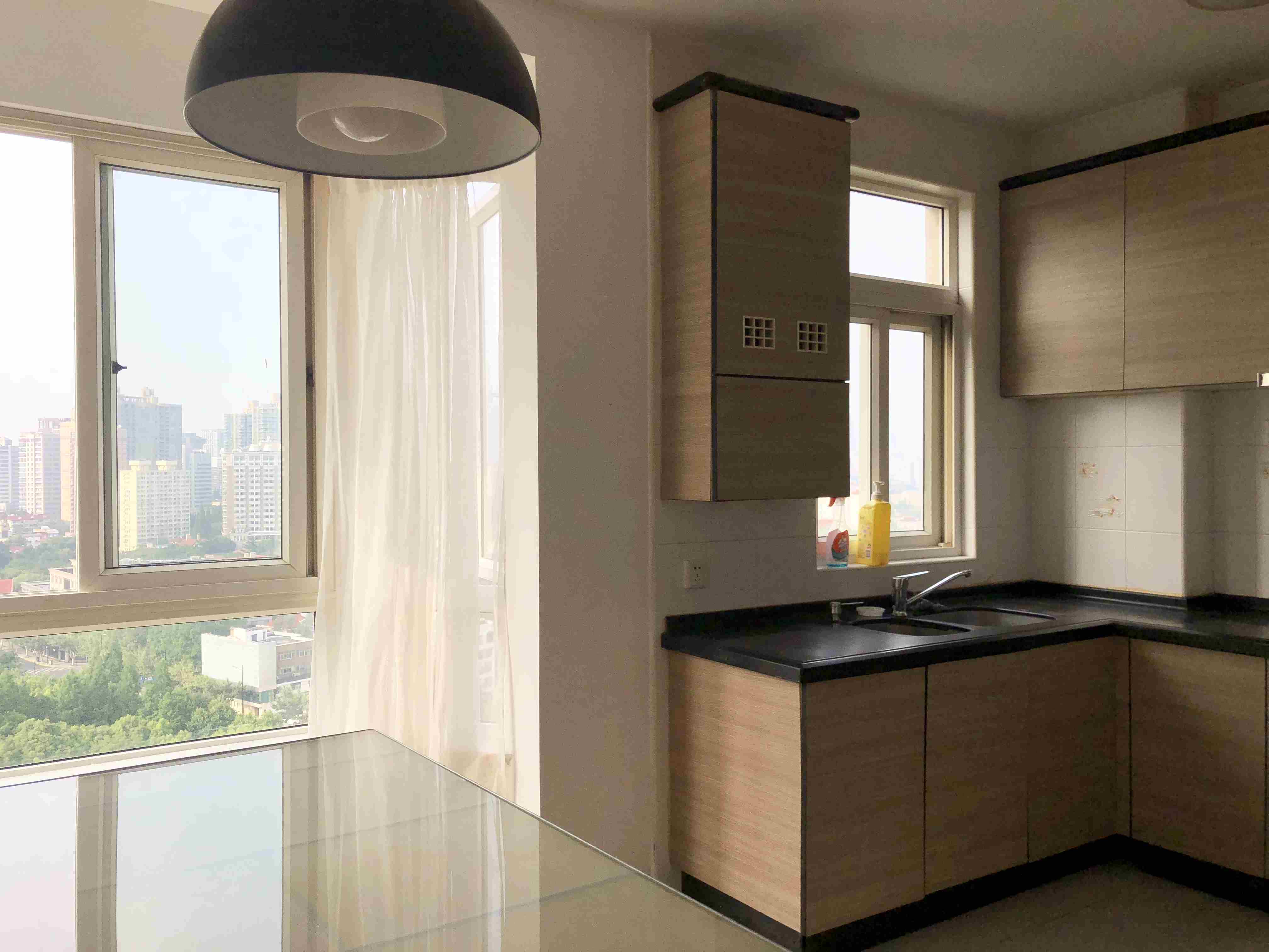 open Apt w Great Views and Location for Rent nr Shanghai