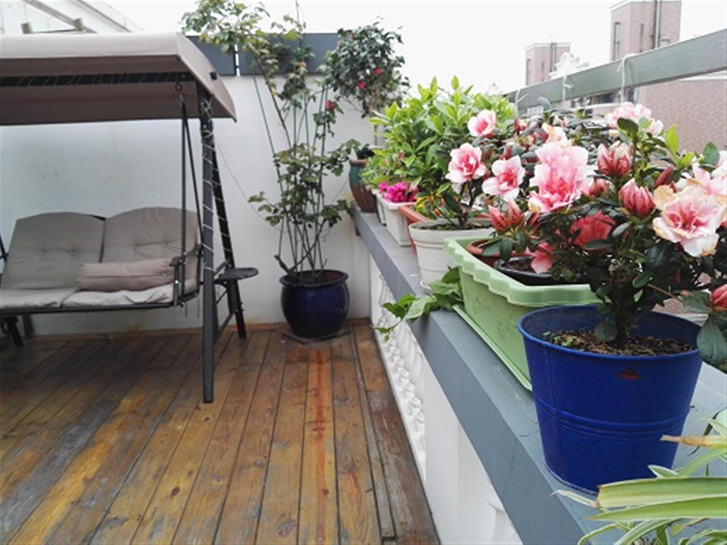 swing chair Affordable Bright Spacious 2BR Apt with Terrace nr Zoo & LN 10 for Rent in Shanghai