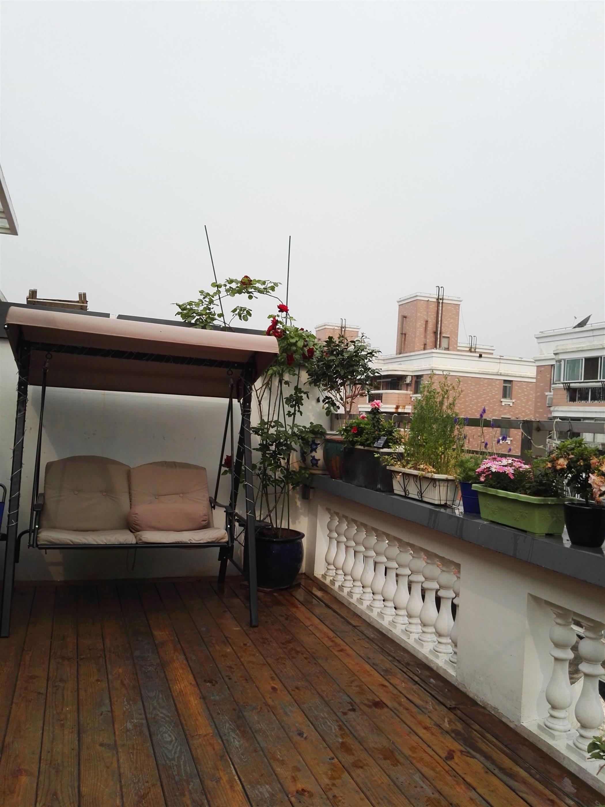 nice views Affordable Bright Spacious 2BR Apt with Terrace nr Zoo & LN 10 for Rent in Shanghai