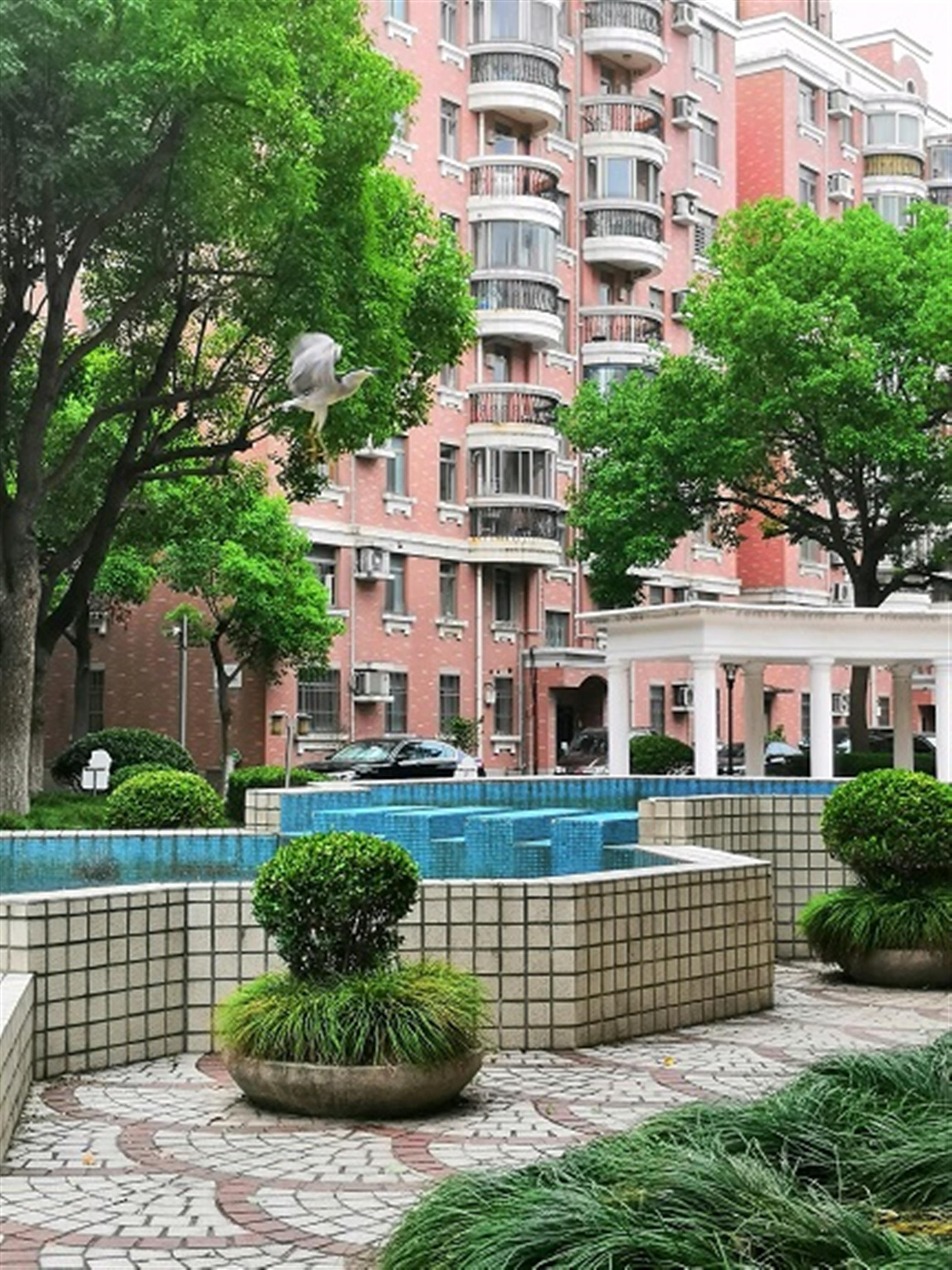 clean compound Affordable Bright Spacious 2BR Apt with Terrace nr Zoo & LN 10 for Rent in Shanghai
