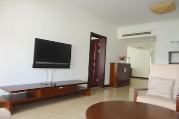 picture 11 3br Large, modern apartment with big balcony in Xintiandi