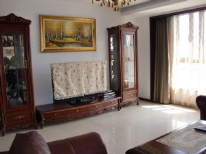 Big living room around 200 square meters,very good condition 
