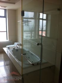 picture 3 5BR bright apartment in Pudongs Business District