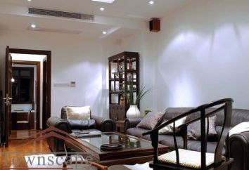 picture 2 Designer furnished 2floors apt with terrace cozy and clean