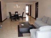 picture 1 Central Park apt in Xin Tian Di for rent