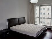 picture 5 Central Park apt in Xin Tian Di for rent
