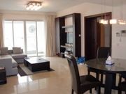 Central Park apt in Xin Tian Di for rent